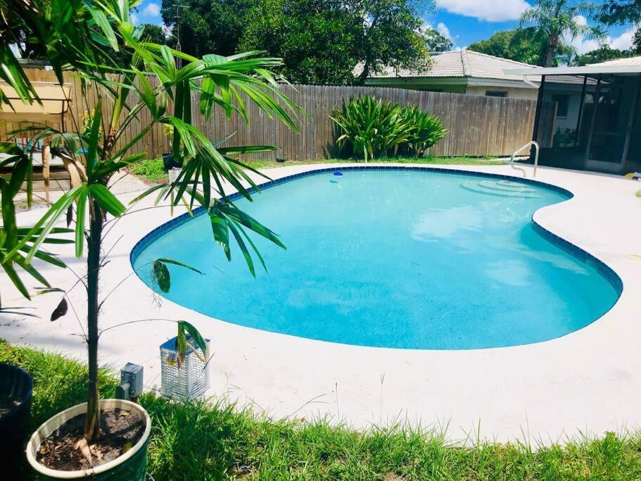 Paradise Hideaway Entire Guest Home Near Beach Clearwater Exterior foto